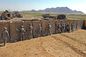 Mil Gabion Mesh Hesco Sandbags Fence Bastion Barrier Fill Wall Army Protection dostawca